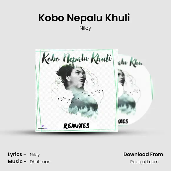 Kobo Nepalu Khuli (Dhritiman Remix) - Niloy album cover 