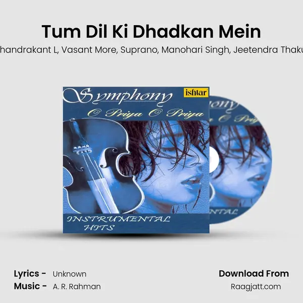 Tum Dil Ki Dhadkan Mein - Chandrakant L album cover 