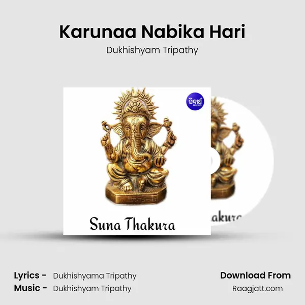 Karunaa Nabika Hari - Dukhishyam Tripathy album cover 