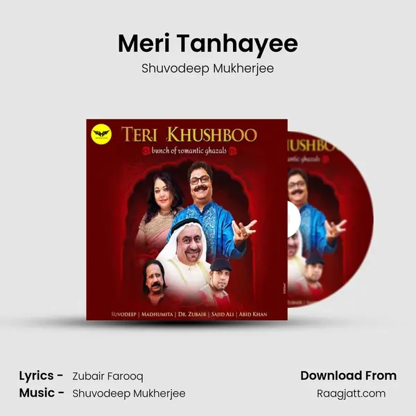 Meri Tanhayee mp3 song