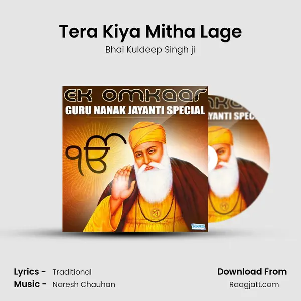 Tera Kiya Mitha Lage mp3 song