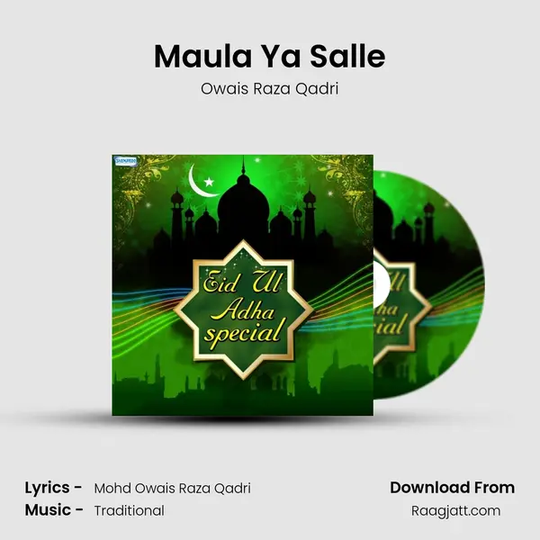 Maula Ya Salle - Owais Raza Qadri album cover 