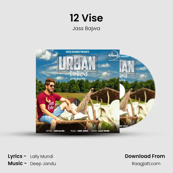 12 Vise - Jass Bajwa album cover 