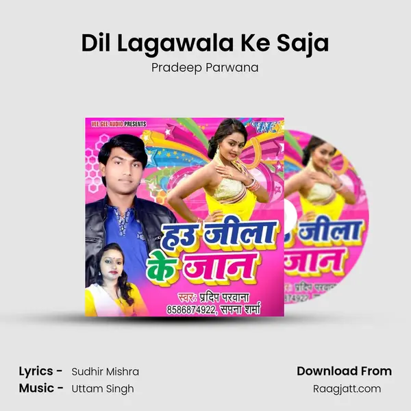 Dil Lagawala Ke Saja - Pradeep Parwana album cover 