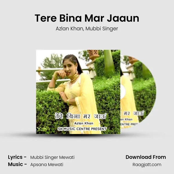 Tere Bina Mar Jaaun - Azlan Khan album cover 