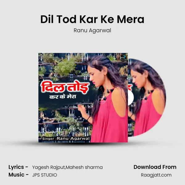 Dil Tod Kar Ke Mera - Ranu Agarwal album cover 