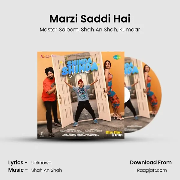 Marzi Saddi Hai - Master Saleem album cover 