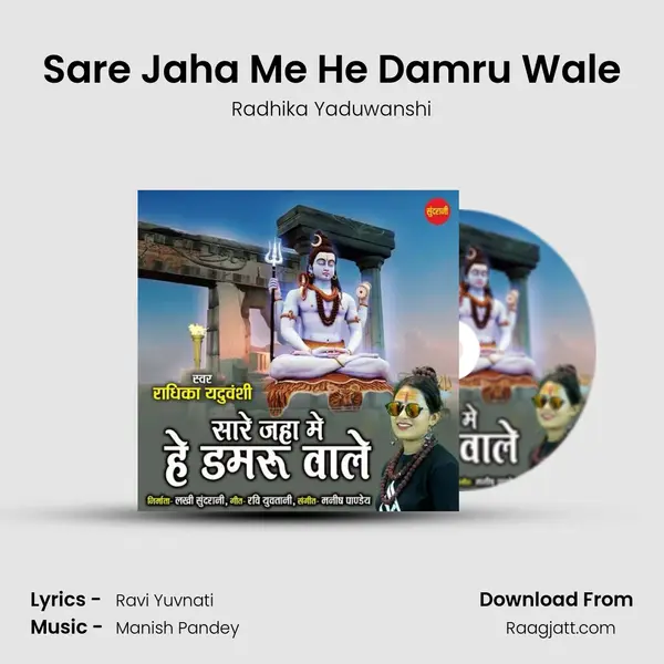 Sare Jaha Me He Damru Wale mp3 song