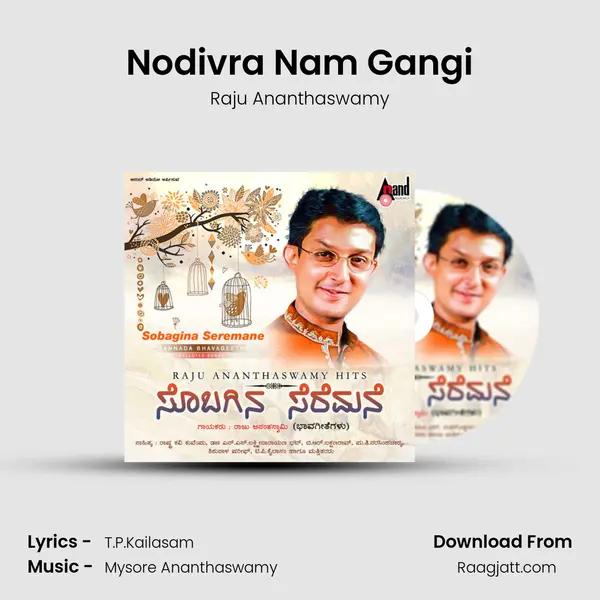 Nodivra Nam Gangi - Raju Ananthaswamy album cover 