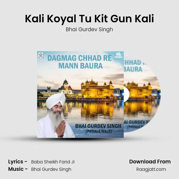 Kali Koyal Tu Kit Gun Kali mp3 song