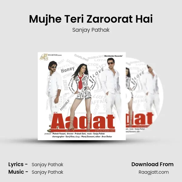 Mujhe Teri Zaroorat Hai - Sanjay Pathak album cover 