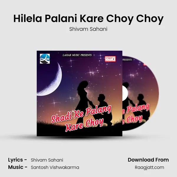 Hilela Palani Kare Choy Choy - Shivam Sahani album cover 