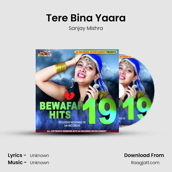 Tere Bina Yaara - Sanjay Mishra album cover 