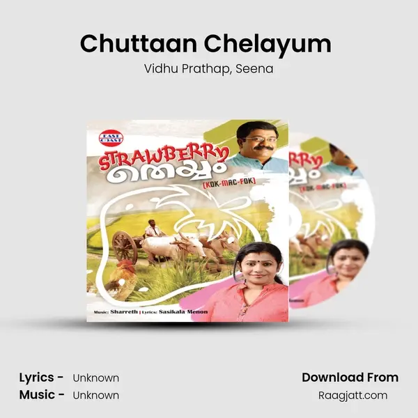 Chuttaan Chelayum (DUET) mp3 song