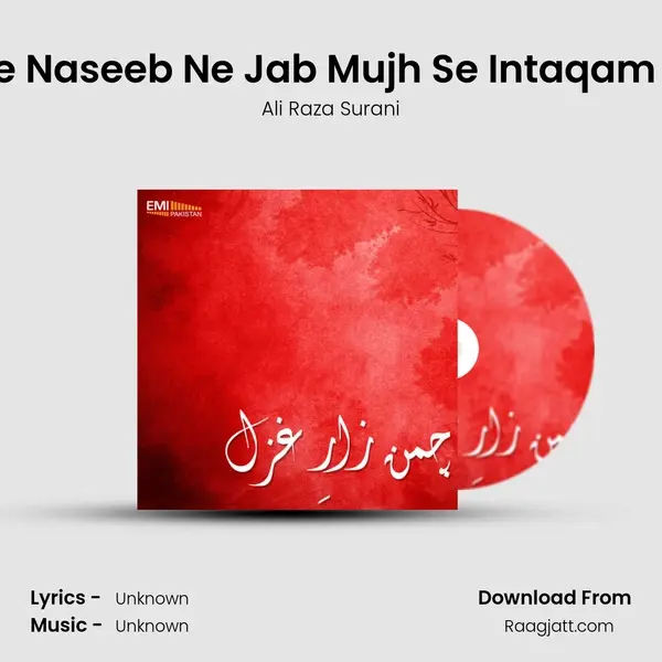 Mere Naseeb Ne Jab Mujh Se Intaqam Liya mp3 song