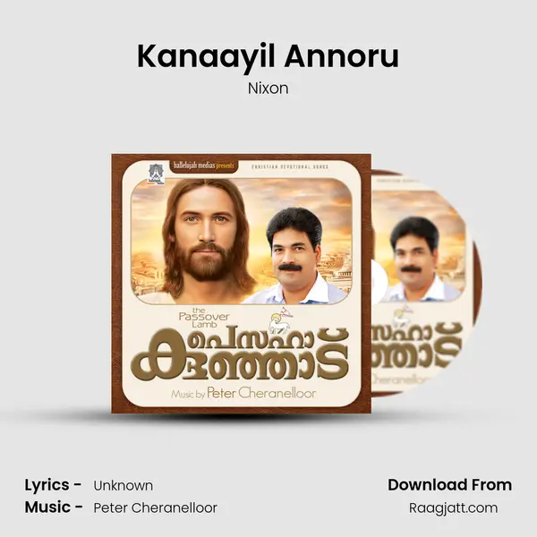 Kanaayil Annoru - Nixon album cover 