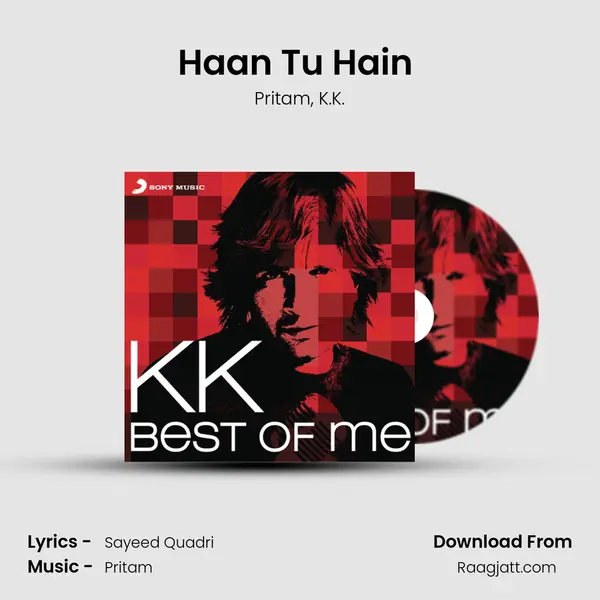 Haan Tu Hain (From Jannat) mp3 song