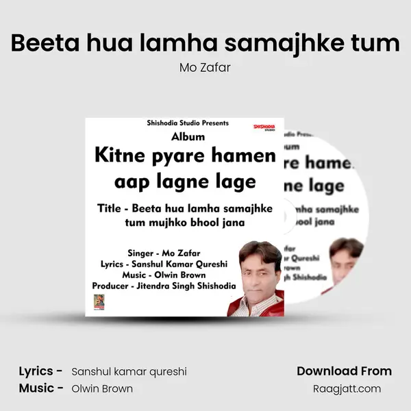 Beeta hua lamha samajhke tum - Mo Zafar album cover 