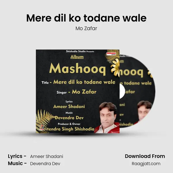 Mere dil ko todane wale mp3 song