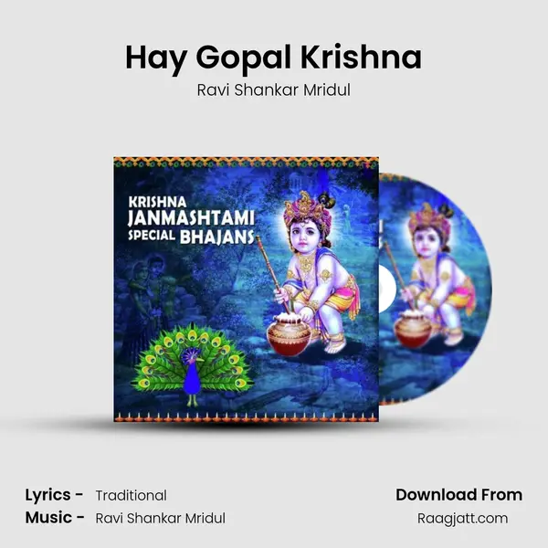 Hay Gopal Krishna mp3 song