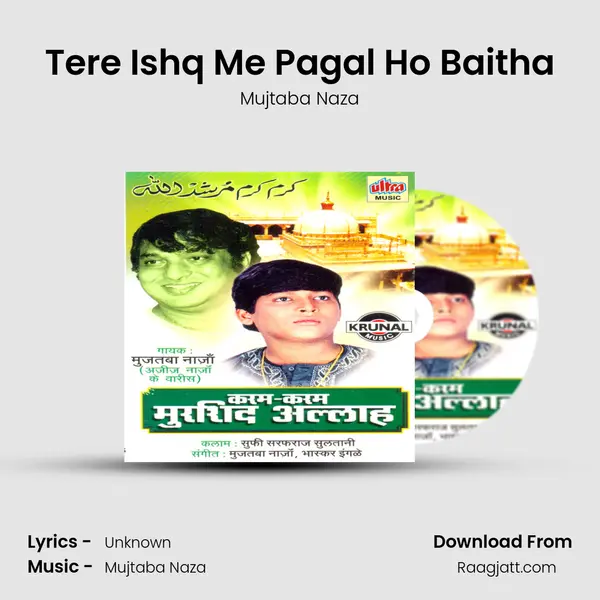 Tere Ishq Me Pagal Ho Baitha mp3 song