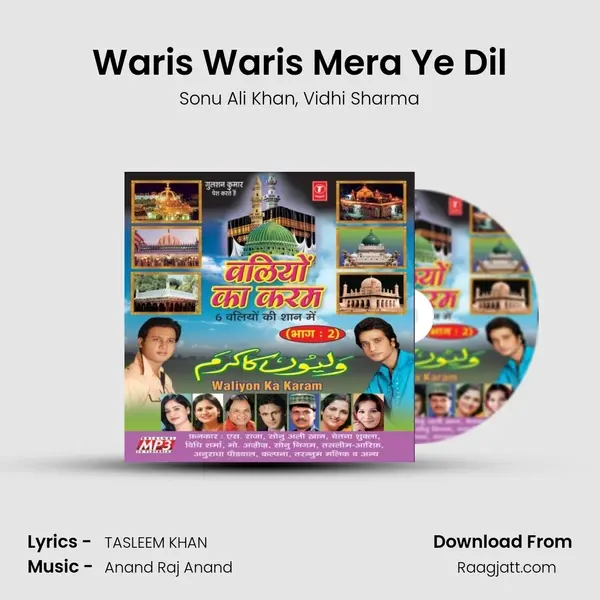 Waris Waris Mera Ye Dil - Sonu Ali Khan album cover 