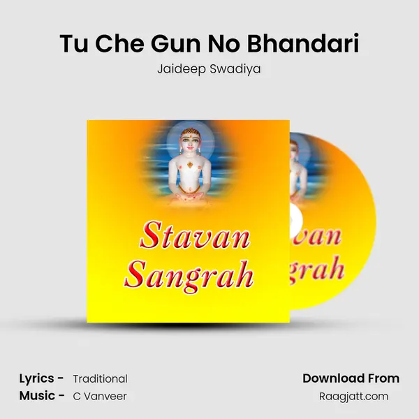 Tu Che Gun No Bhandari - Jaideep Swadiya album cover 