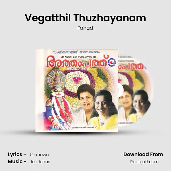 Vegatthil Thuzhayanam mp3 song