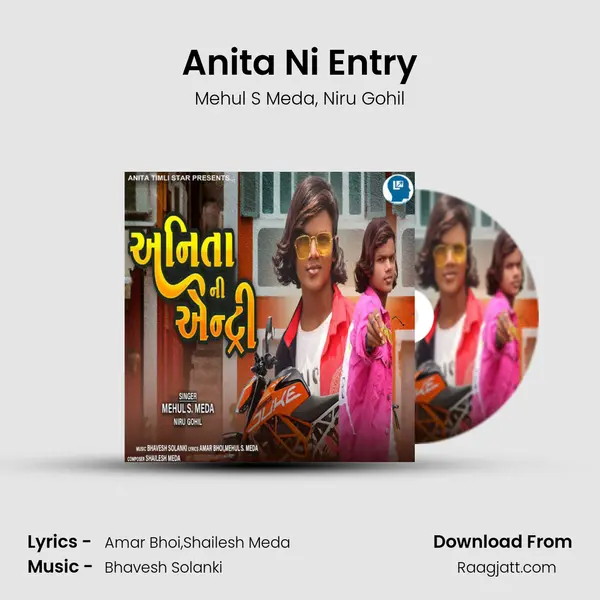 Anita Ni Entry - Mehul S Meda album cover 