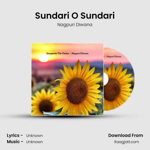 Sundari O Sundari - Nagpuri Diwana album cover 