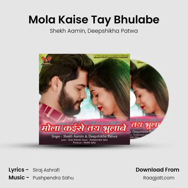 Mola Kaise Tay Bhulabe - Shekh Aamin album cover 