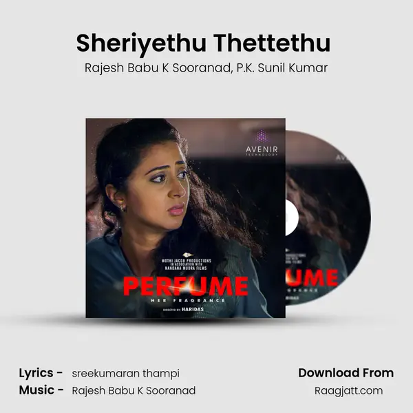 Sheriyethu Thettethu (feat. P.K. Sunil Kumar) mp3 song