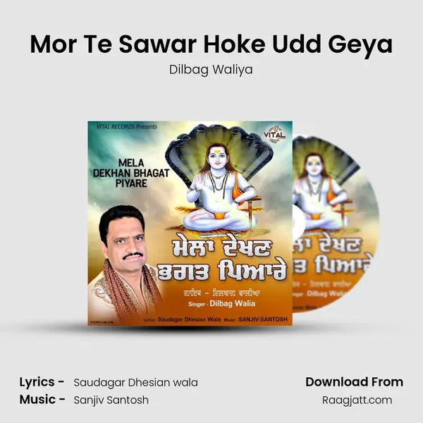 Mor Te Sawar Hoke Udd Geya - Dilbag Waliya album cover 