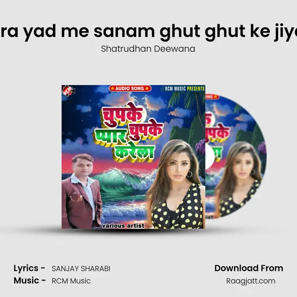 Tohara yad me sanam ghut ghut ke jiyatani - Shatrudhan Deewana album cover 