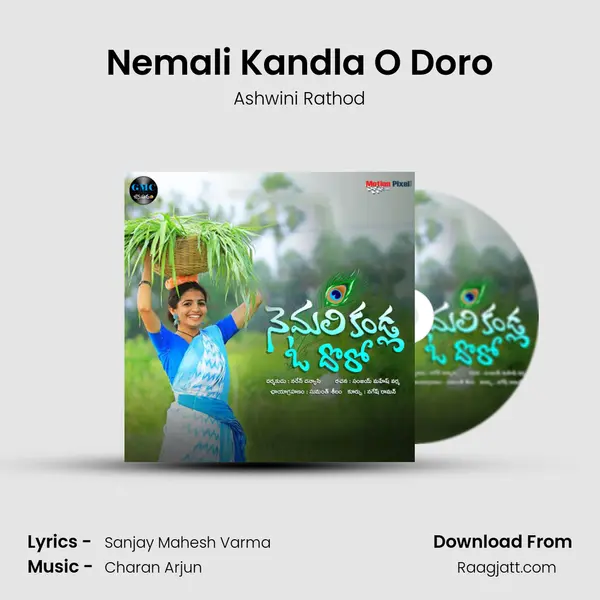 Nemali Kandla O Doro mp3 song