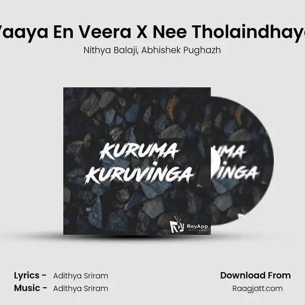 Vaaya En Veera X Nee Tholaindhayo - Nithya Balaji album cover 