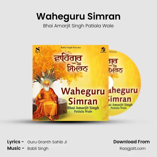 Waheguru Simran - Bhai Amarjit Singh Patiala Wale album cover 