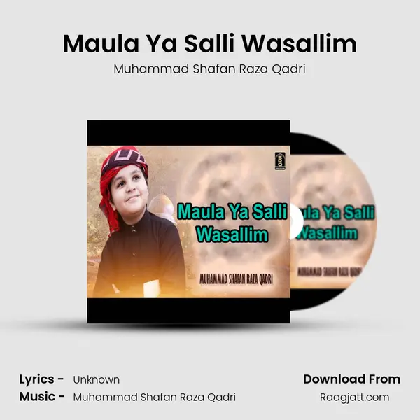 Maula Ya Salli Wasallim - Muhammad Shafan Raza Qadri album cover 