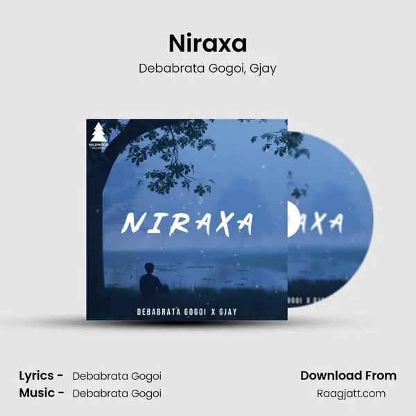 Niraxa - Debabrata Gogoi album cover 