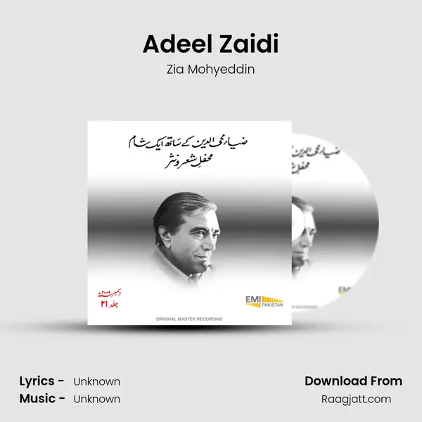 Adeel Zaidi mp3 song