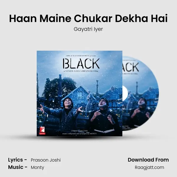 Haan Maine Chukar Dekha Hai - Gayatri Iyer album cover 