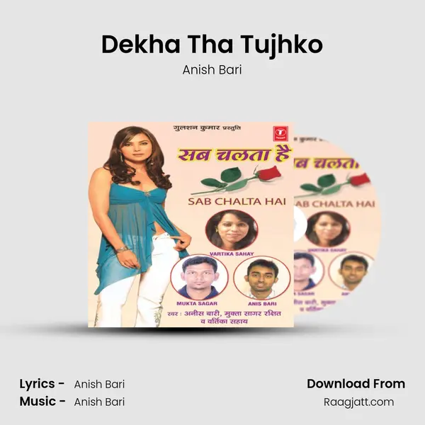 Dekha Tha Tujhko - Anish Bari album cover 