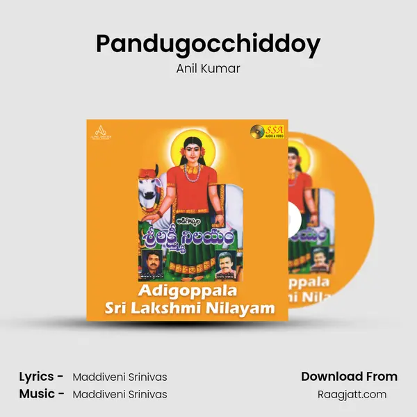 Pandugocchiddoy - Anil Kumar album cover 