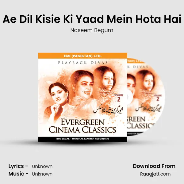 Ae Dil Kisie Ki Yaad Mein Hota Hai - Naseem Begum album cover 