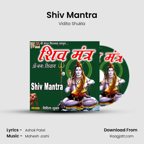 Shiv Mantra - Vidita Shukla album cover 