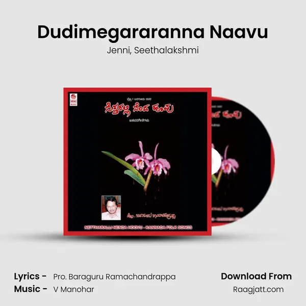 Dudimegararanna Naavu - Jenni album cover 