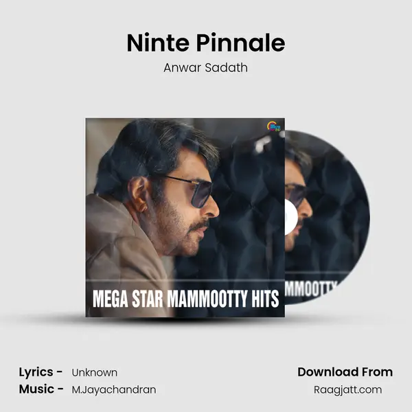 Ninte Pinnale mp3 song