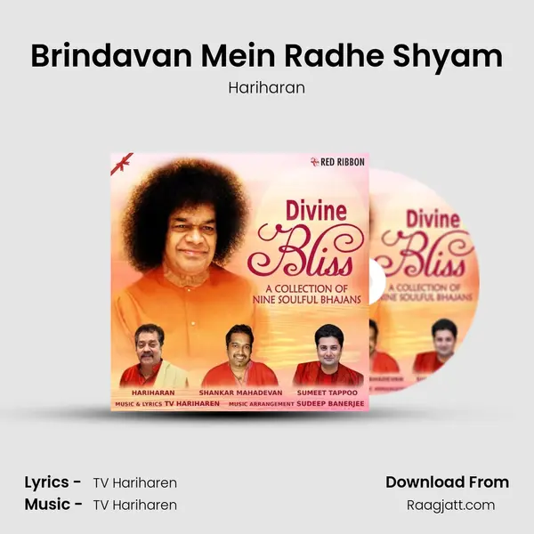 Brindavan Mein Radhe Shyam - Hariharan mp3 song