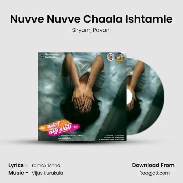 Nuvve Nuvve Chaala Ishtamle - Shyam album cover 