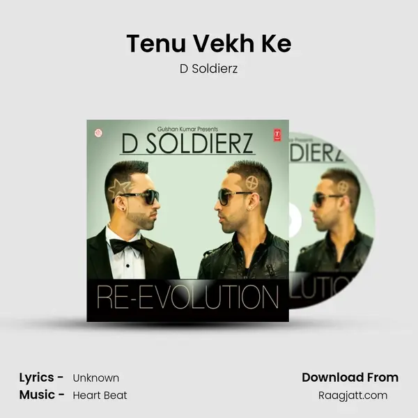 Tenu Vekh Ke - D Soldierz album cover 